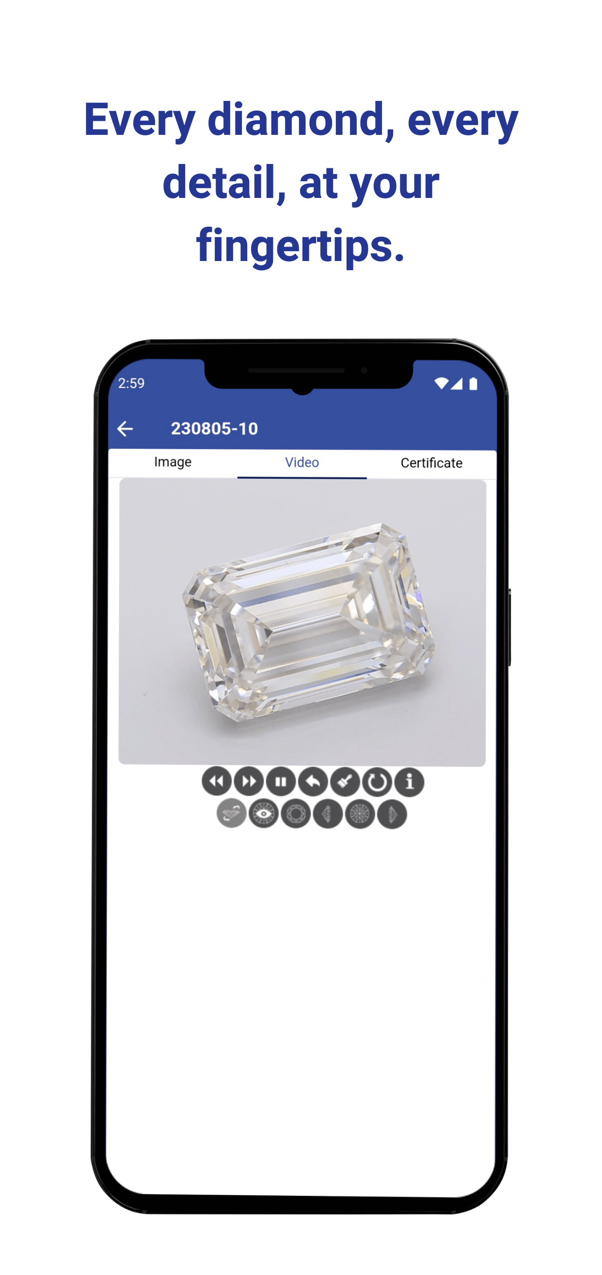 Diamond detail view